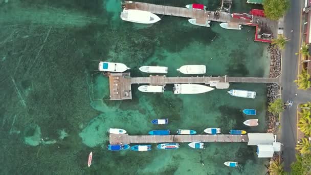Palmiyeli Teknelerin Atlantida Honduras Taki Roatan Adasının Kıyısındaki Evlerin Havadan — Stok video