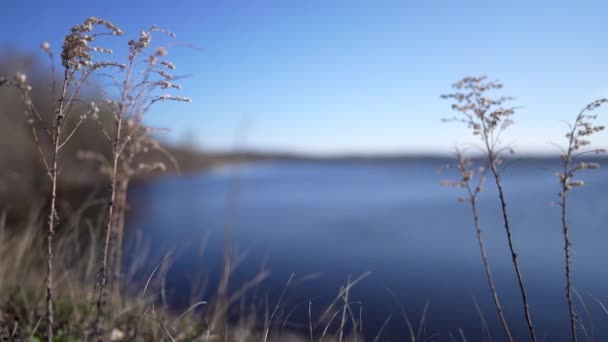 Pan Shot Yamaska Nationaal Park — Stockvideo