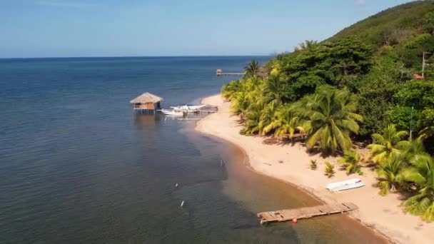 มมองทางอากาศของหาดทรายส ขาวเขตร อนและน าทะเลใสส าครามท นขนาดเล กและป าไม ปาล เกาะโรแมนต — วีดีโอสต็อก