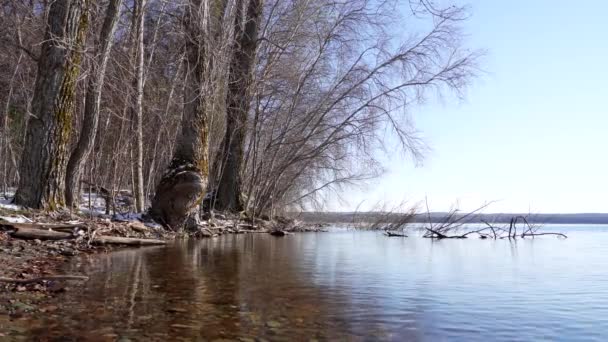 Pan Tiro Parque Nacional Yamaska — Vídeos de Stock