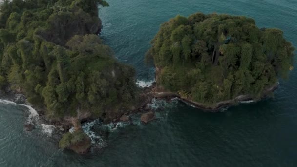 Vista Superior Exuberante Floresta Verde Ilha Punta Mona Ecoversity Costa — Vídeo de Stock