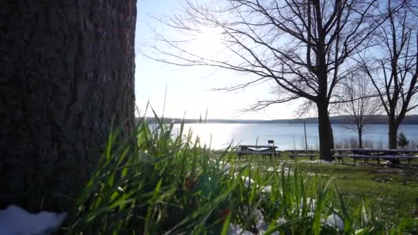 Plan Panoramique Dans Parc National Yamaska — Video