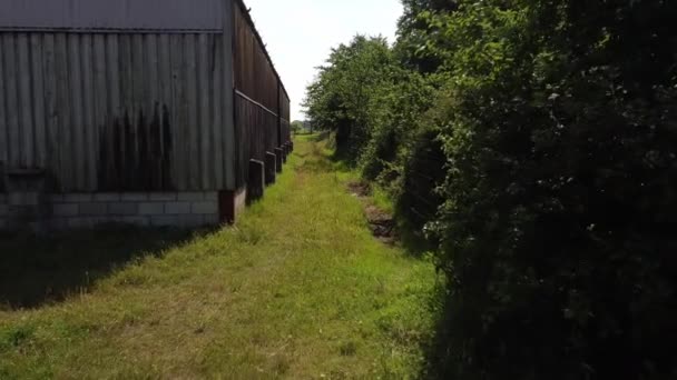 沿着现代谷仓的外缘直飞 两边都是树 2021年夏天在英国德文郡威瑟里奇村附近拍摄 — 图库视频影像