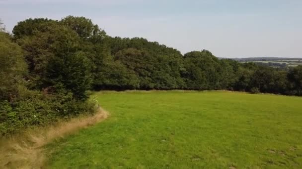 Low Swooping Shot Green Field Edged Mature Trees Filmed Summer — Stock Video