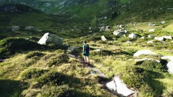 ハイキングコースでアルプスをトレッキングする人 — ストック動画