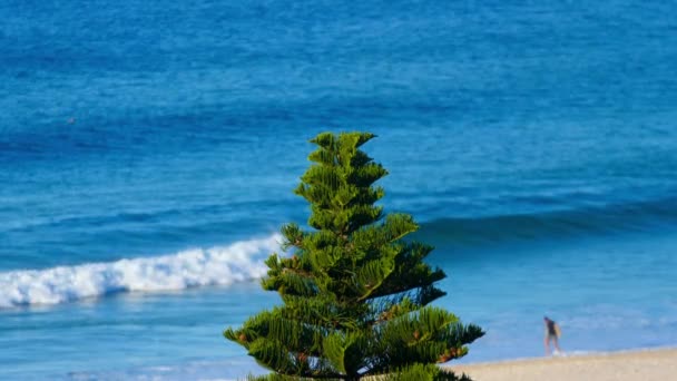 Spiaggia Tropicale Con Sabbia Dorata Onde Blu Colpo Rallentatore Onde — Video Stock