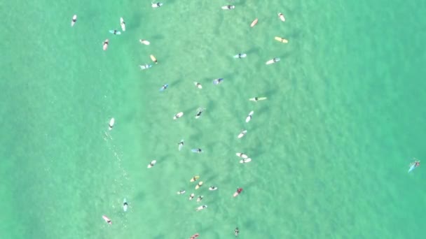 Group Surfers Enjoys Ocean Waves View Sunny Day Beach People — Stock Video