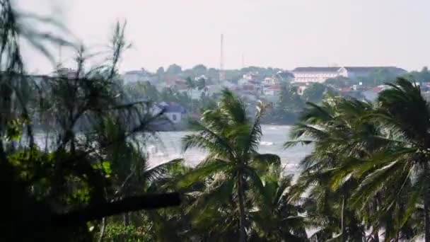 Case Benestanti Sull Oceano Spiaggia Vista Sulla Città Attraverso Palme — Video Stock