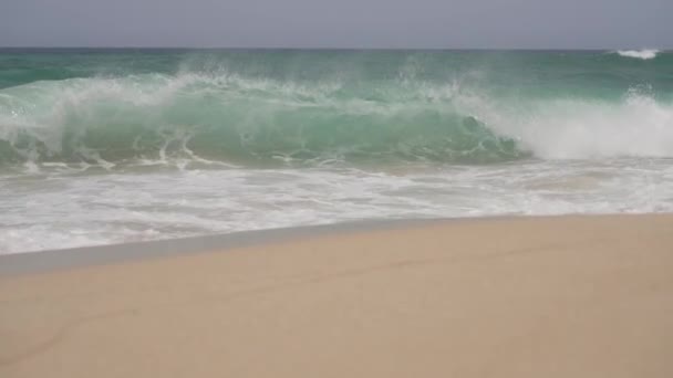 카나리아 제도의 푸에르테벤투라 해변에서 한파도 부서지고 — 비디오