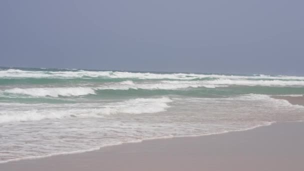 Grandes Olas Estrellan Las Playas Fuerteventura Islas Canarias — Vídeos de Stock