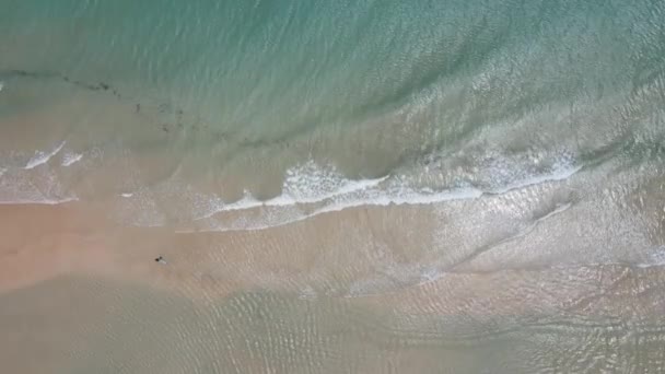 カナリア諸島のフエルテベントゥラ島で息子にサーフィンを教えるサーファーの父親の空中ドローン撮影 — ストック動画