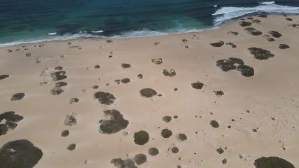 Flygdrönare Skott Öknen Sanddyner Och Stranden Fuerteventura Kanarieöarna — Stockvideo