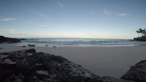 波がロールインを見て早朝に無人のハワイのビーチに座って — ストック動画