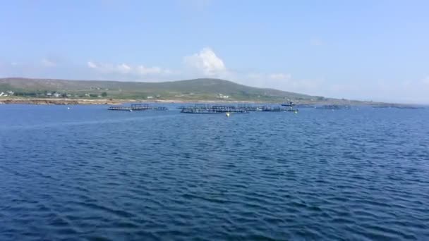 Eisc Flatharta Fish Farm Ardmore Kilkieran Bay Connemara County Galway — Stockvideo