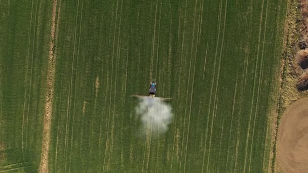 Traktor Lahan Penyemprotan Melindungi Pertumbuhan Gandum Animasi Render — Stok Video