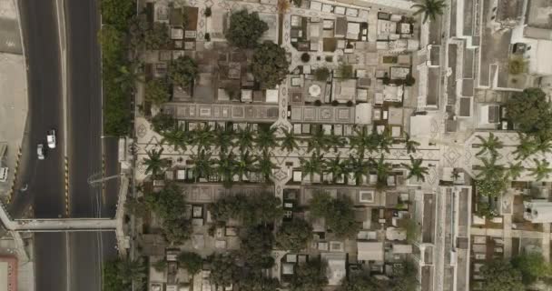 Vliegen Begraafplaats Guayaquil Stad Ecuador Zoom — Stockvideo