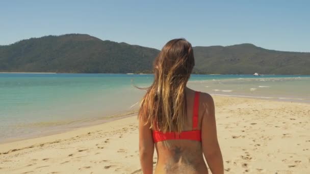 Tatuado Lady Bikini Walks Sandy Beach Summer Langford Island Whitsundays — Vídeo de Stock