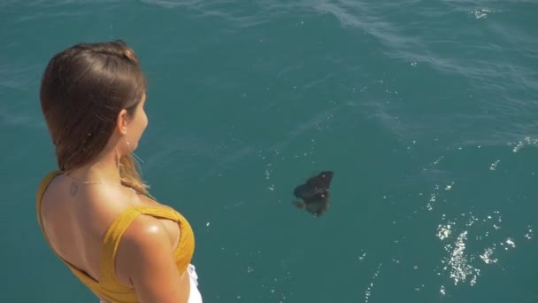 Bella Ragazza Guardando Pesci Wrasse Nuotare Mare Corallo Grande Barriera — Video Stock