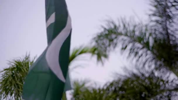 National Flag Pakistan Flying Wind Patriotisk Symbol För Den Islamiska — Stockvideo