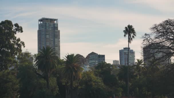 Pohled Panoramatu Palermo Argentina Stoupající Nad Stromy — Stock video
