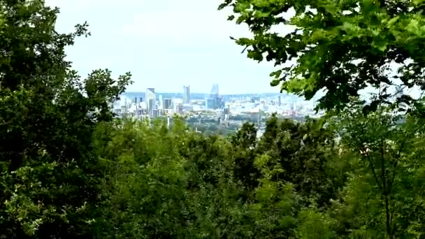 Mirador Del Lapso Tiempo Con Ciudad Londres Entre Los Árboles — Vídeos de Stock