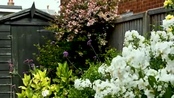 Time Lapse Blommor Brittisk Trädgård Med Grön Lykta Längs Ett — Stockvideo