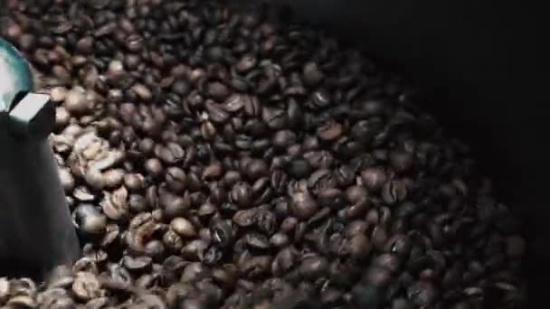 Processo Tostatura Dei Chicchi Caffè — Video Stock