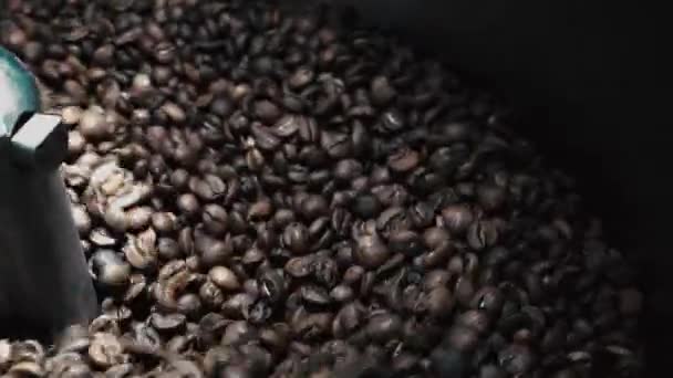 Proceso Tostado Los Granos Café — Vídeos de Stock