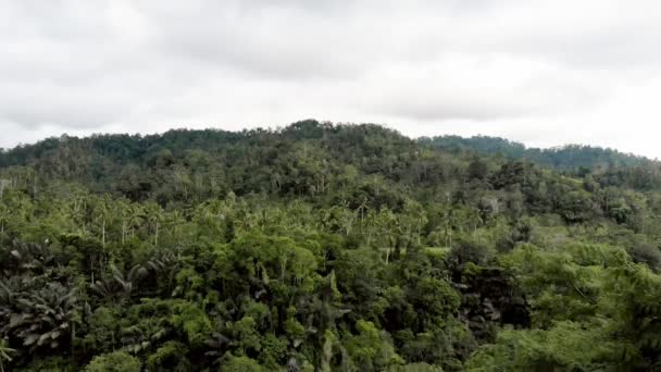 Bali Dron Deštného Pralesa — Stock video