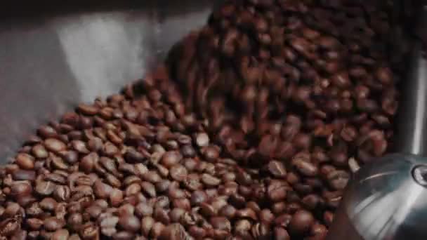 Proceso Tostado Los Granos Café — Vídeos de Stock