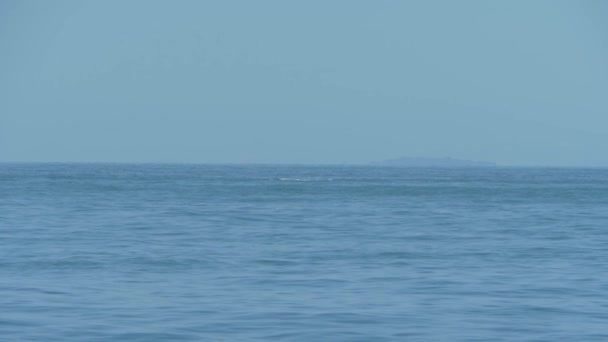 Горбатый Кит Коралловом Море Плавает Солнечный День Dent Island Whitsunday — стоковое видео
