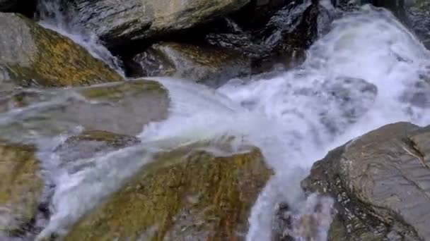 Water Spetteren Gladde Rotsen Bij Crystal Cascades Buurt Van Cairns — Stockvideo