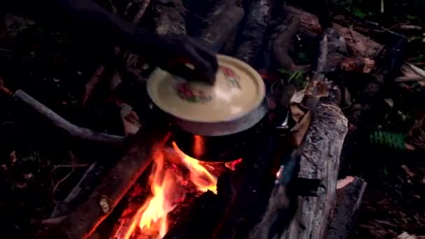 人里離れた荒野や熱帯雨林の中で一晩歩くハイキングで夕食を調理します 手置く蓋上の熱いです鍋料理上のオープンログ火災で炎とログ — ストック動画