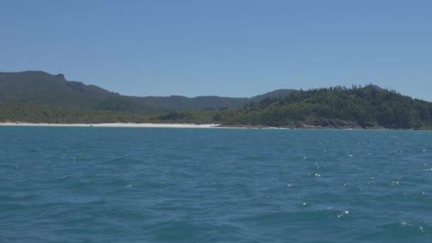 Rippling Coral Sea Kilátással Sűrű Erdős Sziget Háttérben Whitehaven Beach — Stock videók