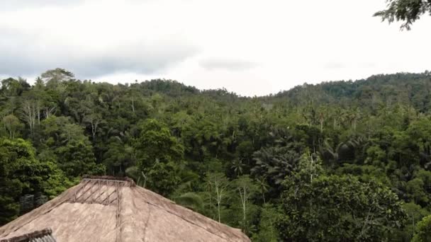 Bali Drone Floresta Tropical — Vídeo de Stock