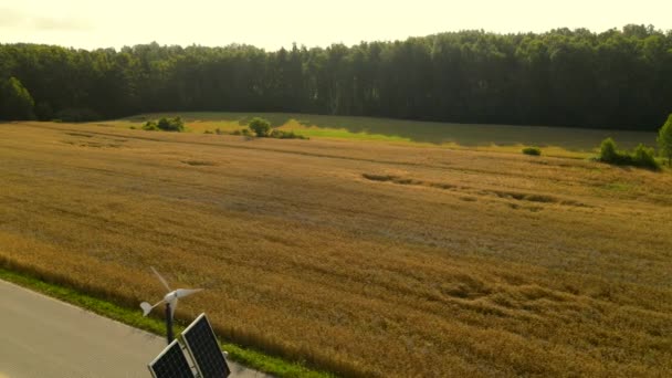 Campo Trigo Dorado Campo Polaco Lámpara Equipada Con Paneles Solares — Vídeo de stock