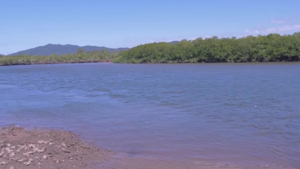 Panorama Spokojnej Rzeki Otoczona Zielonymi Drzewami Pobliżu Zatoki Etty Cassowary — Wideo stockowe