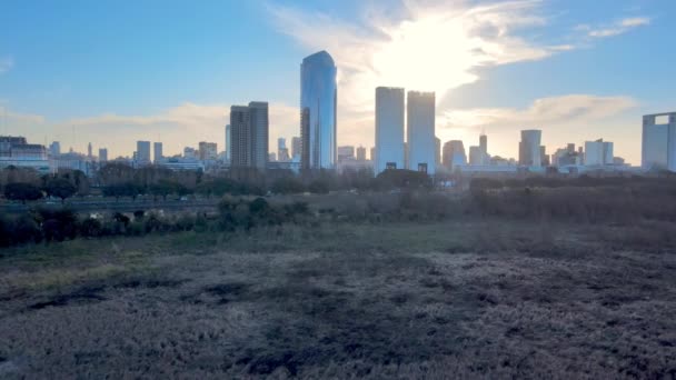 Widok Buenos Aires Costanera Sur Ecological Reserve Sunset Skyline — Wideo stockowe