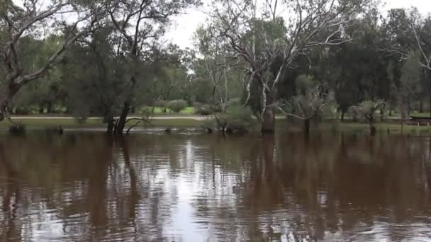 Perth Río Cisne Invierno Con Alto Nivel Agua Vista Desde — Vídeo de stock