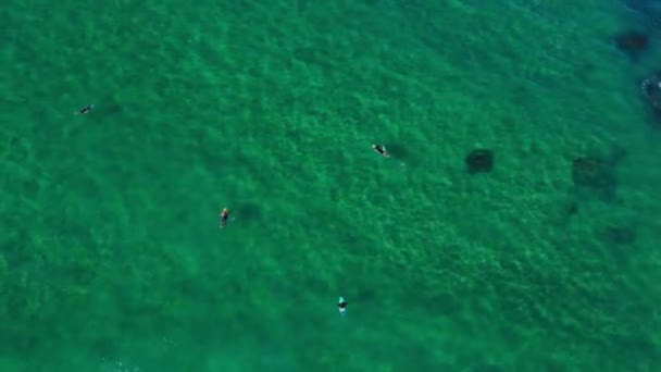 Серфингисты Голубой Зеленой Воде Океана Пляж Кабарита Новом Южном Уэльсе — стоковое видео