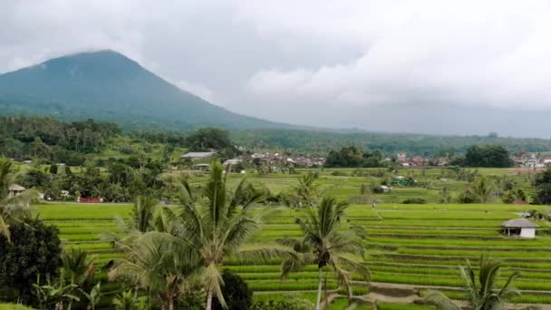 Vulcano Bali Terrazze Riso Jatiluwih — Video Stock