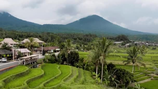 Vulcão Bali Terraços Arroz Jatiluwih — Vídeo de Stock