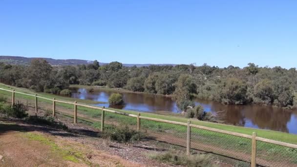Vista Panorámica Del Río Perth Swan Colinas Segundo Plano Derecho — Vídeo de stock