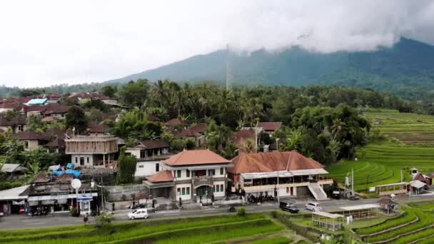 Vulcano Bali Terrazze Riso Jatiluwih — Video Stock