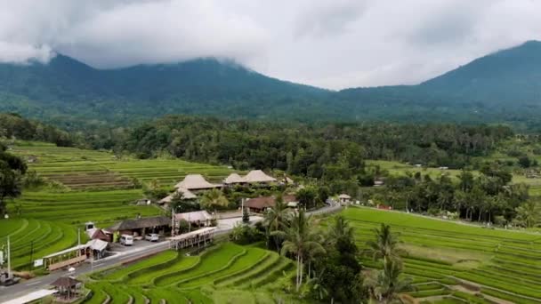 Bali Volkanı Jatiluwih Pirinç Terasları — Stok video