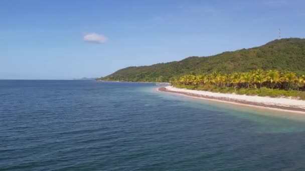 小さな波とヤシの木の森と熱帯白い砂浜とターコイズブルーの澄んだ海の水の空中ビュー ロータン島 アトランティダ ホンジュラス カリブ海 熱帯の概念を旅行する 晴れた日 — ストック動画