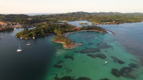 熱帯島 カラフルなサンゴ礁の空中トップビュー ロアタン島 アトランティダ ホンジュラスのファンタジー カリブ海 熱帯の概念を旅行する — ストック動画