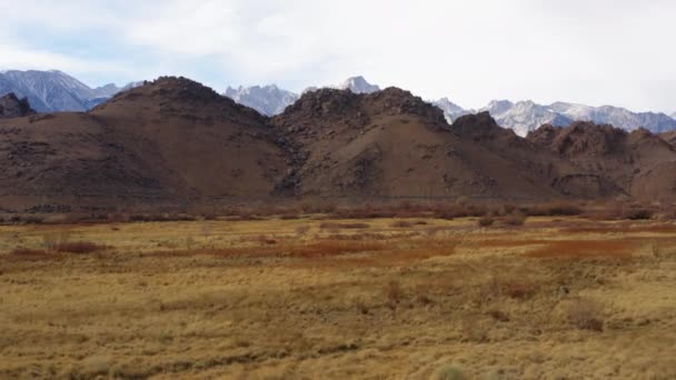 Aerial Dry Desert Grasslands Eastern Sierra Mountains Distance Dolly Indietro — Video Stock