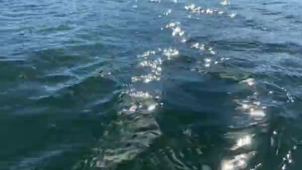 波紋と速い流れる川の水の中に輝く太陽の反射 要旨自然背景映像 — ストック動画