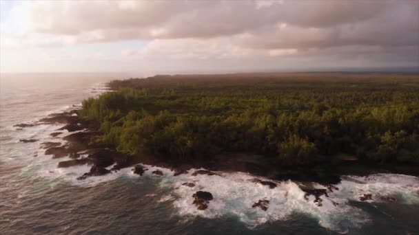 日出后立即拍摄了夏威夷希洛的潘宁照片 茂密的绿色森林一直延伸到大海的边缘 海浪拍打着黑色的岩石 海岸线上的火山岩 — 图库视频影像